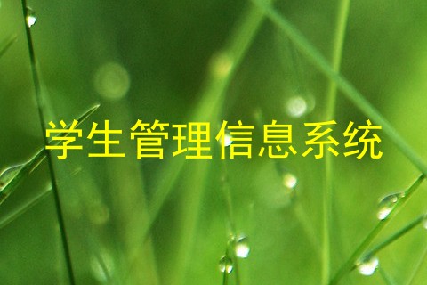 学生管理信息系统