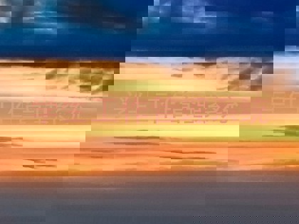 学生工作管理系统