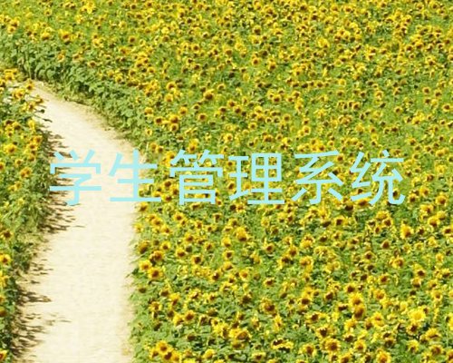学生管理系统