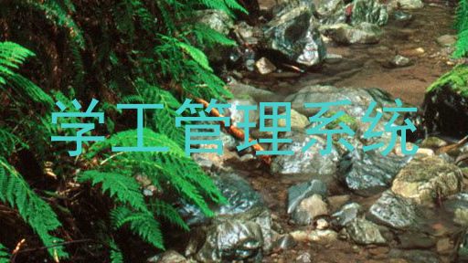 学工管理系统