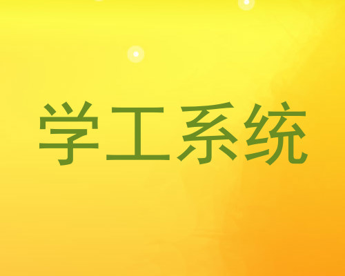 学工系统