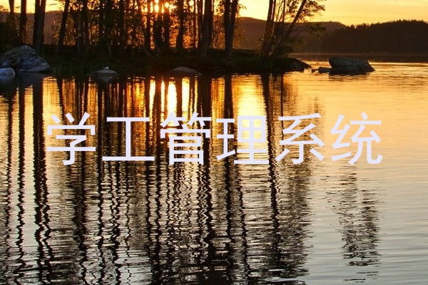 学工管理系统