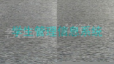 学生管理信息系统