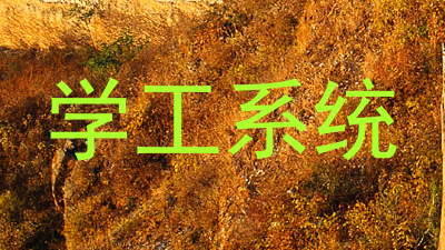 学工系统