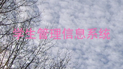 学生管理信息系统