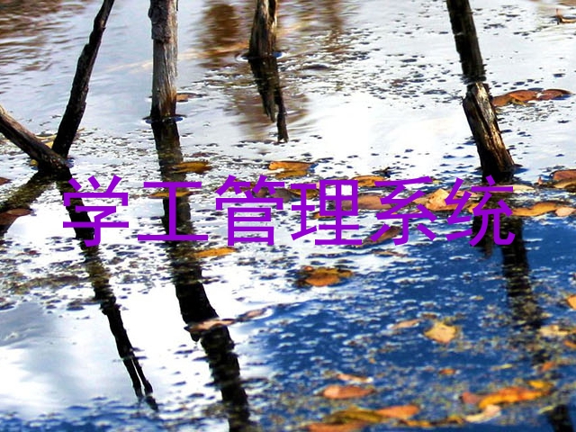 学工管理系统