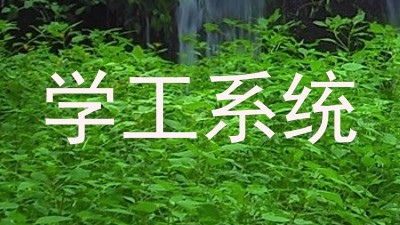学工系统