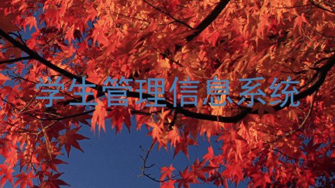 学生管理信息系统