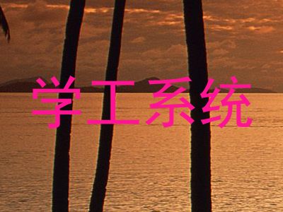 学工系统