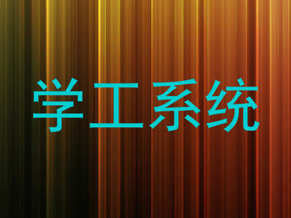 学工系统