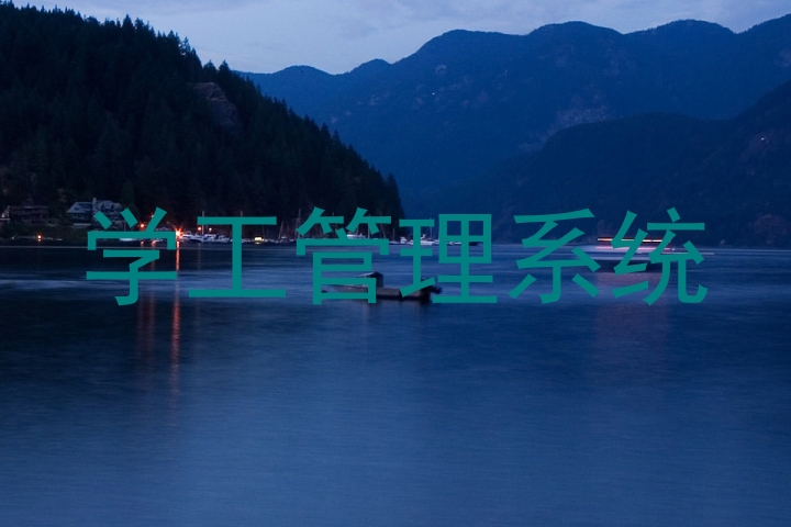 学工管理系统