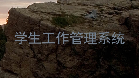 学生工作管理系统