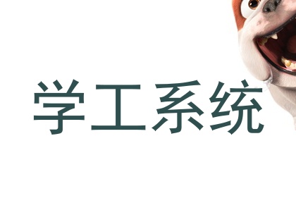 学工系统