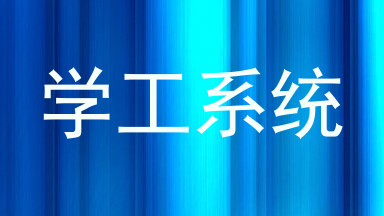 学工系统