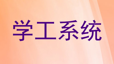 学工系统