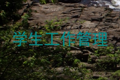 学生工作管理