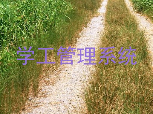 学工管理系统