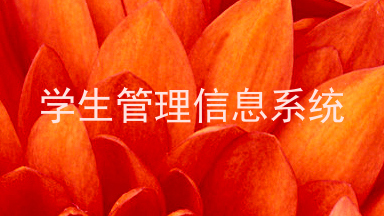 学生管理信息系统