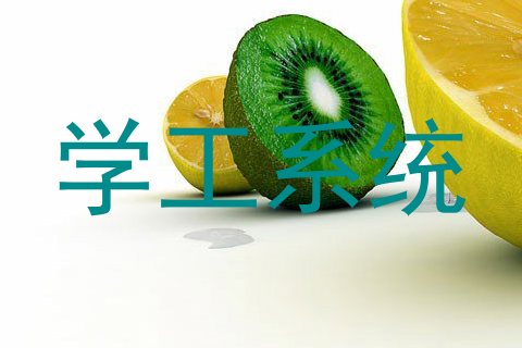 学工系统