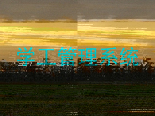 学工管理系统
