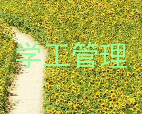 学工管理