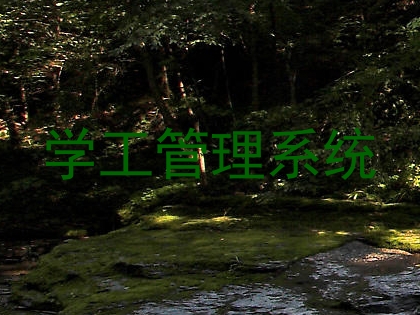 学工管理系统