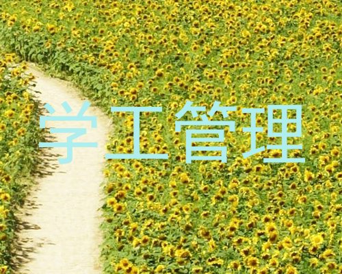 学工管理