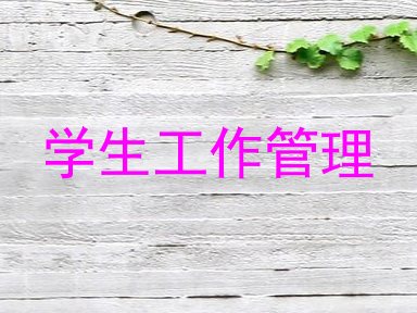 学生工作管理