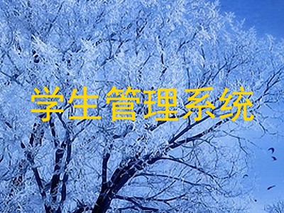 学生管理系统