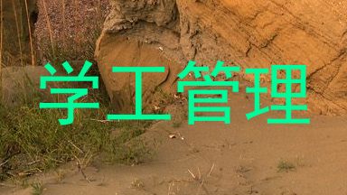 学工管理