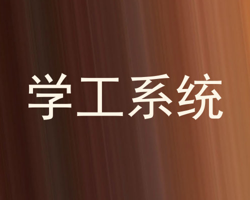 学工系统