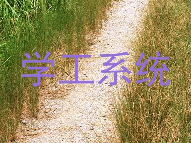 学工系统