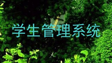 学生管理系统