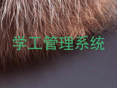 学工管理系统