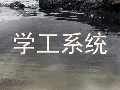 学工系统