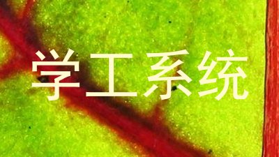 学工系统