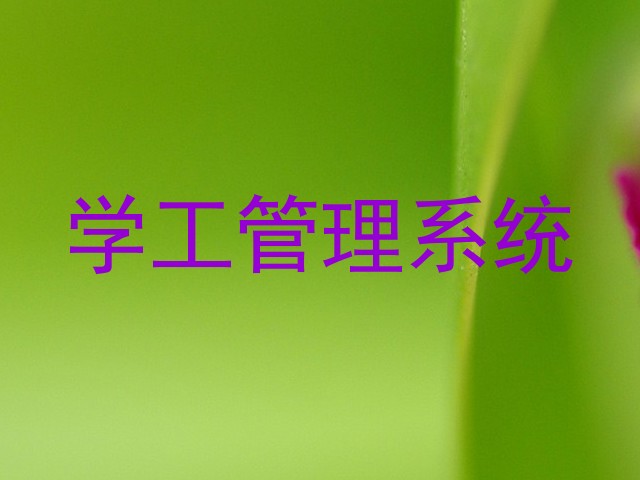 学工管理系统