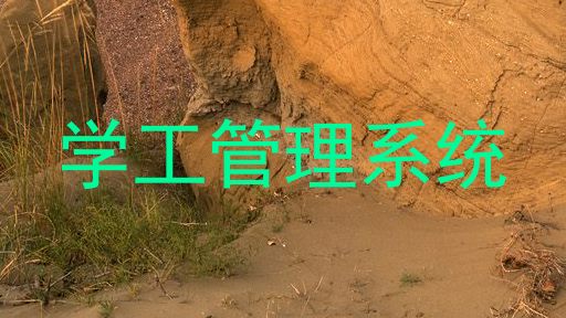 学工管理系统