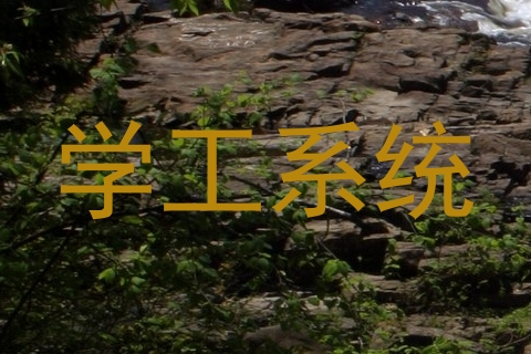 学工系统