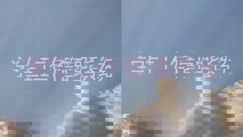 学生工作管理系统