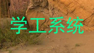 学工系统
