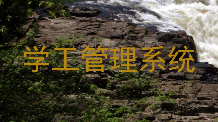 学工管理系统
