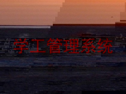 学工管理系统