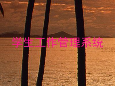 学生工作管理系统