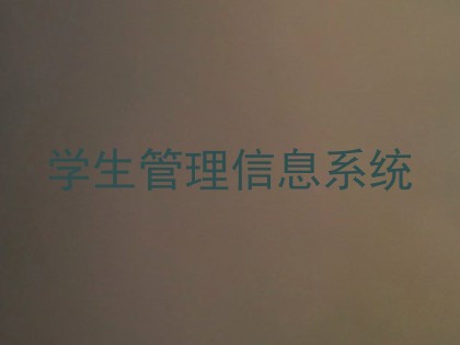 学生管理信息系统