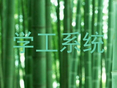 学工系统