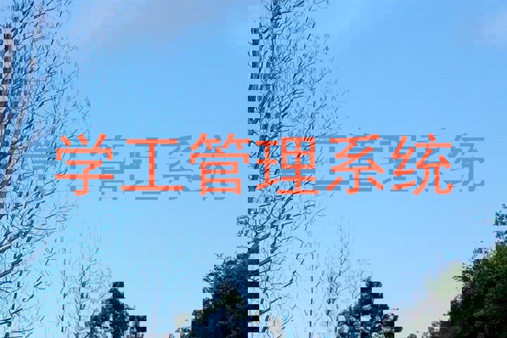 学工管理系统
