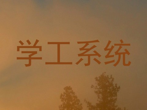 学工系统
