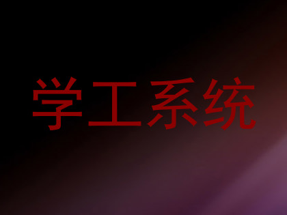 学工系统