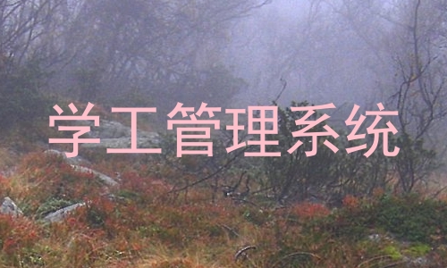 学工管理系统